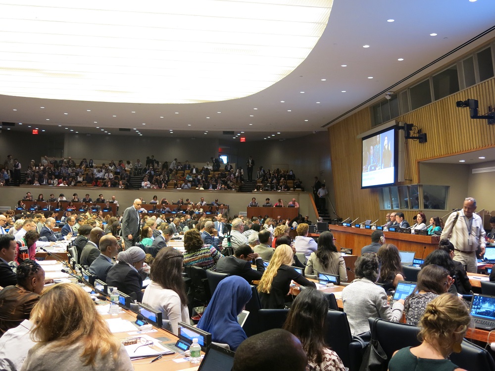 Sesja konferencji państw-stron konwencji, 2015